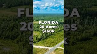 FLORIDA Land for Sale • 20 Acres with Power & Road Frontage • LANDIO