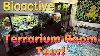 Bioactive Terrarium Room Tour!