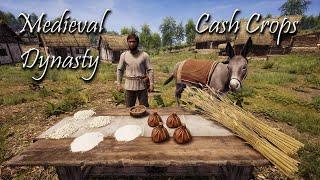 Best Crop for Early Game Profit in Medieval Dynasty!