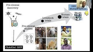 3 Development of Rift Valley fever vaccine suitable for human and livestock use - George Warimwe