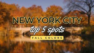 Top 5 Spots to See Fall Colors in New York City | Exploring Autumn's Beauty in NYC
