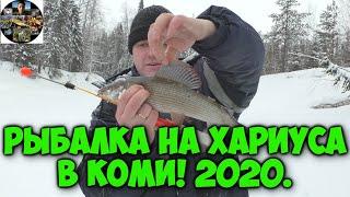 Рыбалка 2020.Ловля хариуса зимой на таёжной реке.Республика Коми.