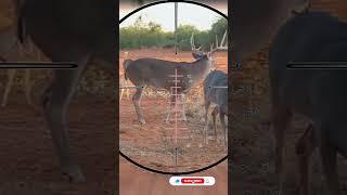 Crossbow Texas Monster Hunting Scope Cam