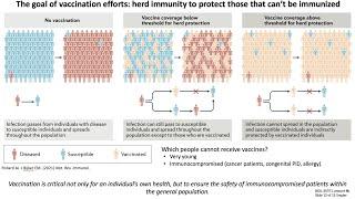 Lecture 8b: Vaccine Design