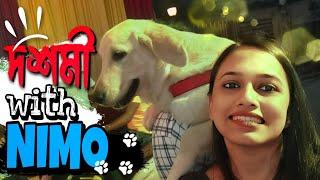 Durga Puja Pandal Hopping With My Golden Retriever Puppy | Nimo  | Ayantika Mallik