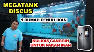 MEGATANK IKAN DISCUS - RUMAH PENUH IKAN - DRIVER JADI FISH KEEPER - KULKAS MAHAL UNTUK PAKAN IKAN