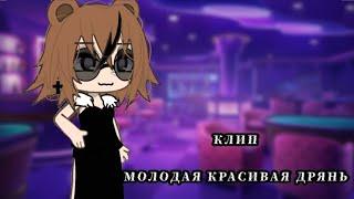 |Клип|~Молодая красивая дрянь~|Алёна швец.|Гача лайф|Gacha Life|GLMV|