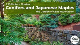 Tour A Collector's Garden: Dwarf Conifers & Japanese Maples  Portland Talk & Tour #gardentour