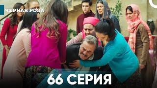 Чёрная роза серия 66