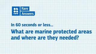 What are Marine Protected Areas and where are they needed?