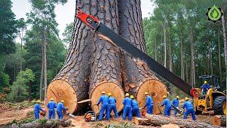 Extreme Dangerous Fastest Big Chainsaw Cutting Tree Machines | Monster Stump Removal Excavator #113