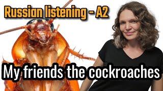 Russian stories - episode 2 - My friends the cockroaches - Russian listening  A2 level - EN/ RU subs