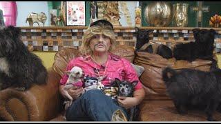 The Chihuahua King -Official Trailer