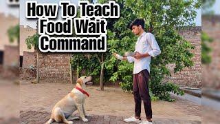 How To Teach Your Dog Food Wait Command | Bella Nehra