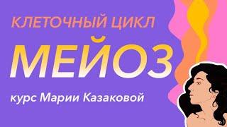 Урок "Мейоз" - ЦТ, ЕГЭ, ЗНО