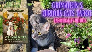 Unboxing The Grimalkin's Curious Cats Tarot by MJ Cullinane