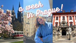 A Week in Prague!