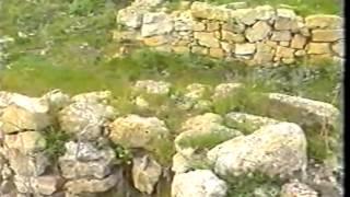 TERMINATOR BUBBONIA GIOIA DEI TOMBAROLI - Gela - Archeoclub d' Italia - Nuccio Mulè - Archeologia