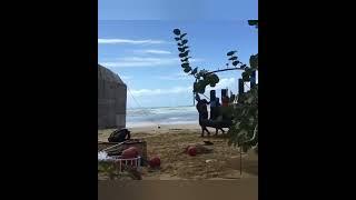 Survivor Kamera Arkası️