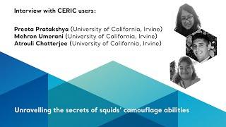 Unravelling the secrets of squids' camouflage abilities- Interview with CERIC users