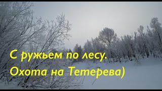 Охота на тетерева. С ружьем в лесу на лыжах)