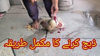 Chicken slaughter education video by Anaya