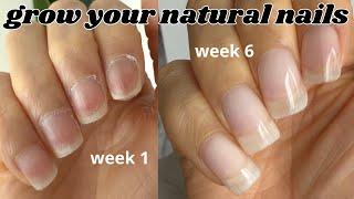 how to grow your nails fast using builder gel