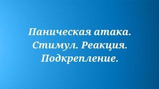 Паническая атака. Стимул. Реакция. Подкрепление.