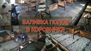 Решил ЗАЛИТЬ ПОЛЫ в коровнике ЗАНОВО | причины