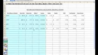 Calculating Option Returns Using the Ellman Calculator