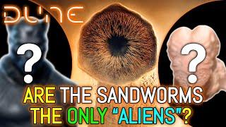 Are The Sandworms The Only “Aliens” In Dune? Where Did They Come From And Are There Others? Answered