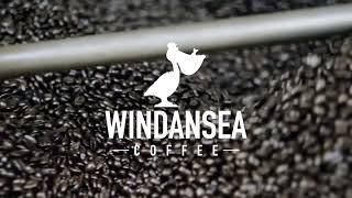 What is Windansea Coffee Long Version