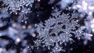 Snowflake Photographer