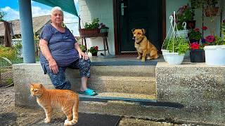 Grandma’s Mountains Life Off the Grid: Living Like the Old Days