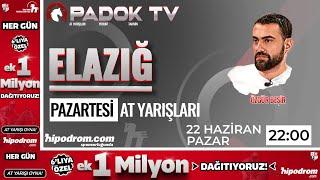 23 Haziran 2025// Elazığ At Yarışı Tahminleri // Özgür Beşir