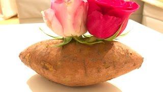 How To Grow Roses Cuttings In Potatoes, Cum cresti Trandafiri din crengute in cartofi