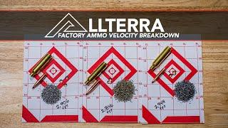 Factory Ammunition Velocity Variance & How it Affects Hunting Ballistics