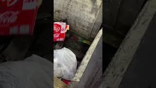 Can a metal grill survive crushing in garbage truck 