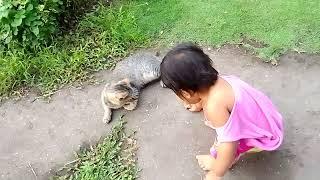 Baby playing of the cat/short video.PAPA RES TV