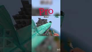 Minecraft Noob VS Pro