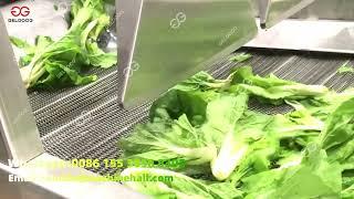 Leafy Vegetable Washing Processing Line From A To Z