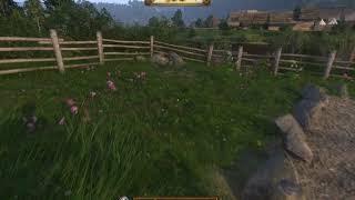 Kingdom Come Deliverance - Найти тайник Вонючки