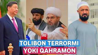 TOLIBON TERRORMIYOKI QAHRAMON? /ABROR MUXTOR ALIY