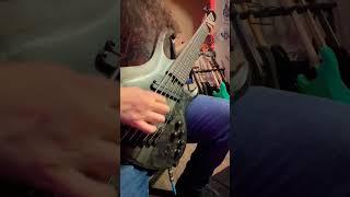 D.O.A.M. Guitar & bass playthrough #metal #deathcore #guitarplaythrough