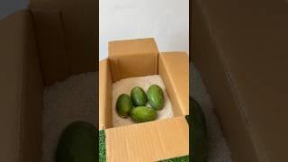 Mango & Calcium carbide