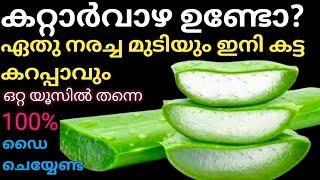 ഏത് നരച്ച മുടിയും ഇനി കട്ട കറപ്പാവും ഇതുപോലൊന്ന് ചെയ്തു നോക്കൂ/Best Homemade Hair Dye /നാച്ചുറൽ Dye.