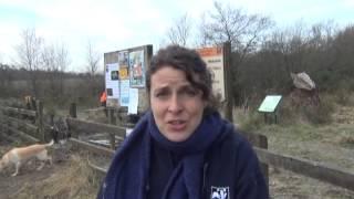 The Wildlife Trust of South and West Wales - a social enterprise case study