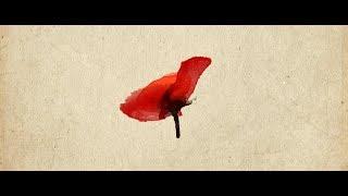 Armistice Ceremony at the National WWI Museum and Memorial