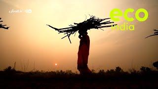 Eco India: How biogas is changing the lives of women and saving forests in Maharashtra