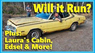 Out of the Trees! Will this 1975 Dodge Dart Parts Car Start? Plus: Edsel, and Laura"s Cabin Update!